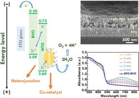 Strategic integration of nickel tellurium oxide and cobalt iron prussian blue analogue into bismuth vanadate for enhanced photoelectrochemical water oxidation