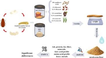 Study of the effect of feeding Tenebrio molitor larvae during their rearing on their growth, nutritional profile, value and safety of the produced flour