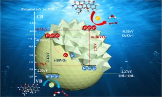 Enhanced photocatalytic activity of Z-scheme BiVO4 heterophase junction via giant built-in electric field