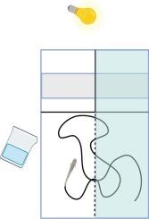 Commentary: Best practices for performing olfactory behavioral assays on aquatic animals: A guide for comparative physiologists