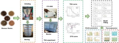 Comprehensive thermal properties, kinetic, and thermodynamic analyses of biomass wastes pyrolysis via TGA and Coats-Redfern methodologies