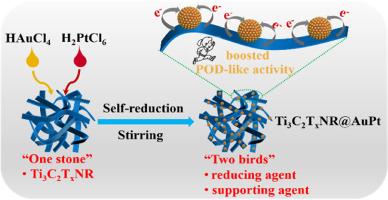 Highly active Ti3C2Tx MXene nanoribbons@AuPt bimetallic nanozyme constructed in a “two birds with one stone” manner for colorimetric sensing of dipterex