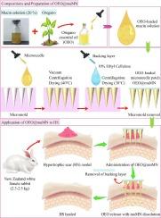 Oregano essential oil-infused mucin microneedle patch for the treatment of hypertrophic scar