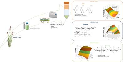 Integral fractionation of Arundo donax using biphasic mixtures of solvents derived from biomass: An environmentally friendly approach