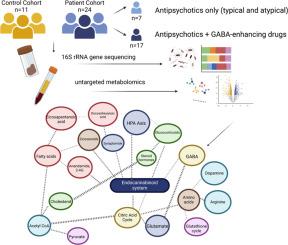 What's GABA got to do with it? A potential link between the microbiome, schizophrenia, and the endo-cannabinoid system