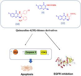 Synthesis, cytotoxicity and molecular docking of novel quinazoline-4(3H)-thione derivatives as EGFR-TKIs