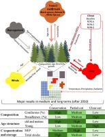 One century of carbon dynamics in the eastern Canadian boreal forest under various management strategies and climate change projections