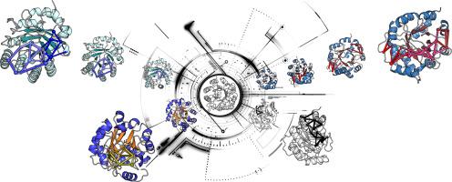 Using residue interaction networks to understand protein function and evolution and to engineer new proteins