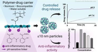 Polymer nanotherapeutics with the controlled release of acetylsalicylic acid and its derivatives inhibiting cyclooxygenase isoforms and reducing the production of pro-inflammatory mediators