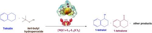 C–H bond activation over chitosan based Fe(III) and Ni(II) catalysts