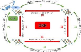 First-principles study of efficient integral water-splitting and oxygen reduction reactions in transition metal single atom anchored NbTe2