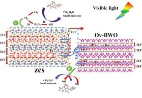 Coupling defect-inherent built-in electric fields to promote directional charge migration for rapid photocatalytic degradation of levofloxacin