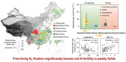 Investigating drivers of free-living diazotroph activity in paddy soils across China