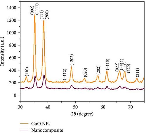 Antibacterial Effect of Copper Oxide Nanoparticles on Polyvinyl Chloride-Based Polymer Nanocomposite