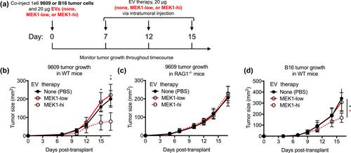 MAP kinase kinase 1 (MEK1) within extracellular vesicles inhibits tumour growth by promoting anti-tumour immunity