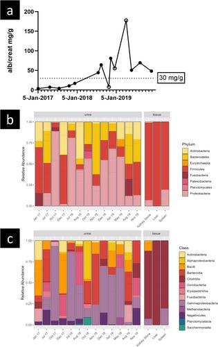 Chronic Kidney Disease and Kidney Stone in a Wild Chimpanzee (Pan troglodytes verus) in Côte d'Ivoire