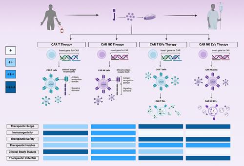 Exploring the potential of the convergence between extracellular vesicles and CAR technology as a novel immunotherapy approach