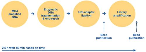 Exome Sequencing Starting from Single Cells