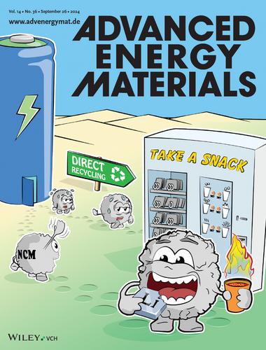 Direct Recycling at the Material Level: Unravelling Challenges and Opportunities through a Case Study on Spent Ni-Rich Layered Oxide-Based Cathodes (Adv. Energy Mater. 36/2024)