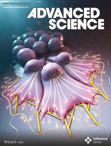 Tissue Mechanics and Hedgehog Signaling Crosstalk as a Key Epithelial–Stromal Interplay in Cancer Development (Adv. Sci. 35/2024)