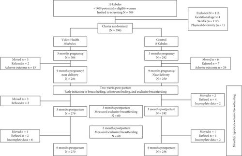 Effectiveness of Video-Based Health Education on Breastfeeding Practices Among Infants Aged 0–6 Months in Dirashe District, South Ethiopia: A Cluster Randomized Controlled Trial