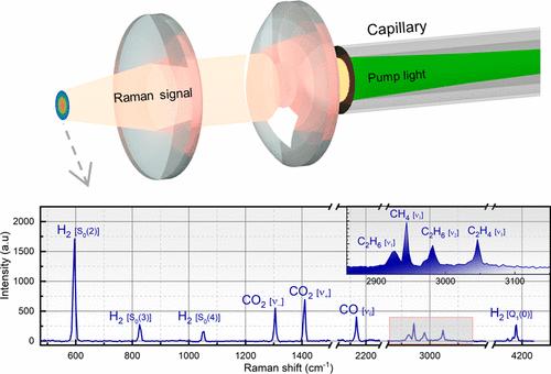 Multicomponent Gas Sensing Fiber Probe System Based on Platinum Coated Capillary Enhanced Raman Spectroscopy