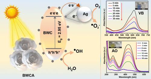 Investigation of Morphology-Modified Bi2WO6 Nanoparticles with Surface Plasmon Resonance Effect for the Enhanced Photocatalytic Degradation of Organic Dyes: Toxicity Estimation and In Silico Studies