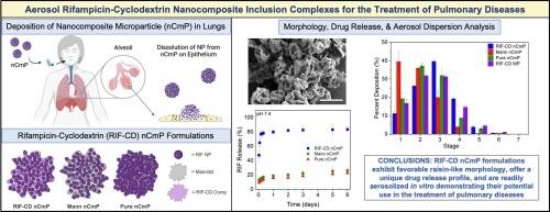 An aerosol nanocomposite microparticle formulation using rifampicin-cyclodextrin inclusion complexes for the treatment of pulmonary diseases