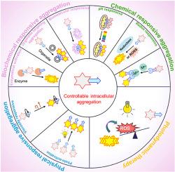 Intracellularly manipulable aggregation of the aggregation-induced emission luminogens