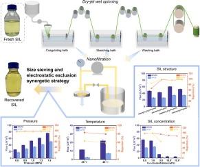 Size sieving and electrostatic exclusion synergetic strategy for high efficiency recovery of superbase-derived ionic liquids via nanofiltration from the spinning process