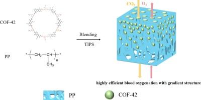 Polypropylene membrane with gradient-distributed covalent organic framework for highly efficient blood oxygenation