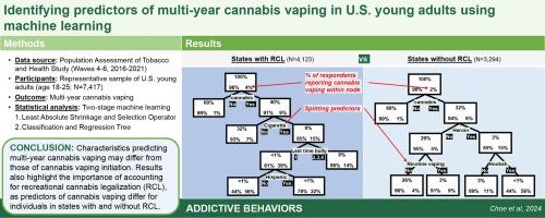 Identifying predictors of multi-year cannabis vaping in U.S. Young adults using machine learning