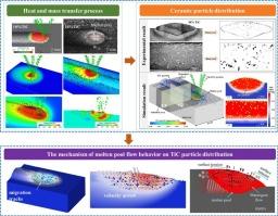 Multiphysics modeling of flow characteristics and particulate migration behavior of titanium matrix composites by laser directed energy deposition