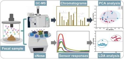 A machine learning-based electronic nose for detecting neonatal sepsis: Analysis of volatile organic compound biomarkers in fecal samples