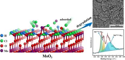 Breakdown mechanism of MoO3 passive film: Electrochemical measurements and first-principles calculations