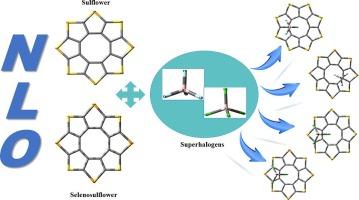 Theoretical study on the enhanced nonlinear optical responses of sulflowers and selenosulflowers