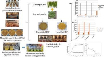 Prebiotic activity of enzymatically modified pea peel dietary fiber: An in vitro study