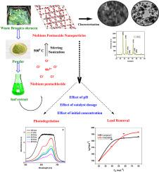 Sphere-like Nb2O5 nanoparticles by waste Brassica oleracea leaf extract for lead removal and photocatalytic degradation of methylene blue dye