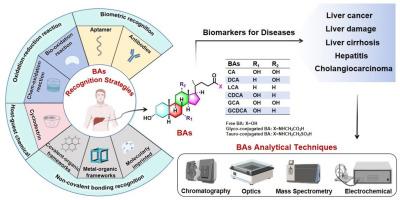 Advances in the recognition strategies and analytical techniques of bile acids