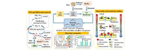 Innovative approaches for enhanced nutrient (N and P) removal and biosecurity in marine recirculating aquaculture systems using biofloc and ultrafiltration combined systems