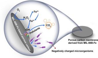 Electro-Fenton enhanced MBR for fouling alleviation based on MIL-88B-Fe derived carbon membrane with in-situ generated OH