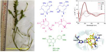 Chemical constituents with their alpha-glucosidase inhibitory activity from the whole plant of Ceratophyllum demersum