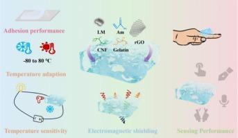 Cellulose nanofibers/liquid metal hydrogels with high tensile strength, environmental adaptability and electromagnetic shielding for temperature monitoring and strain sensors