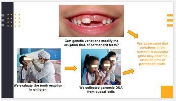 Impact of FokI (rs2228570) and BglI (rs739837) polymorphisms in VDR gene on permanent tooth eruption: A cross-sectional study