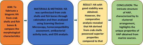 Hydroxyapatite synthesis and characterization from marine sources: A comparative study