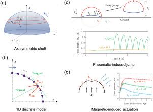 Discrete differential geometry-based model for nonlinear analysis of axisymmetric shells