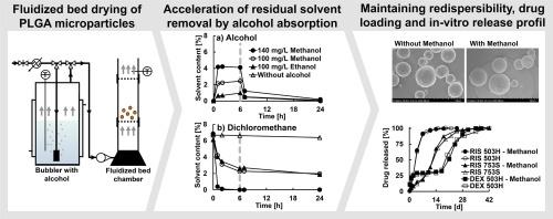 Accelerated removal of solvent residuals from PLGA microparticles by alcohol vapor-assisted fluidized bed drying