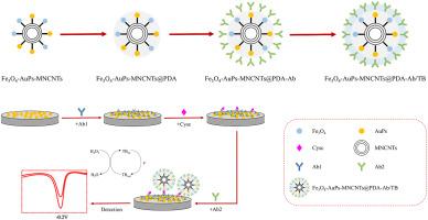 An electrochemical immunosensor for sensitive and rapid detection of cystatin C based on Fe3O4/AuNPs-MWCNTs@PDA nanocomposite