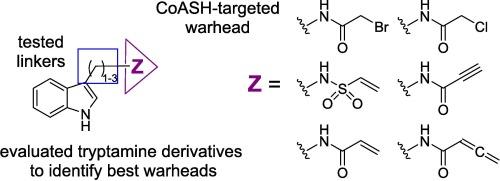 AANAT kinetics of CoASH-targeted electrophiles of tryptamine and related analogs