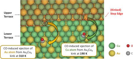 Adsorbate-induced adatom formation on Au-Cu bimetallic alloys and its possible consequences for CO2 electroreduction